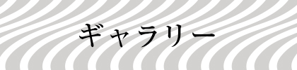ギャラリー